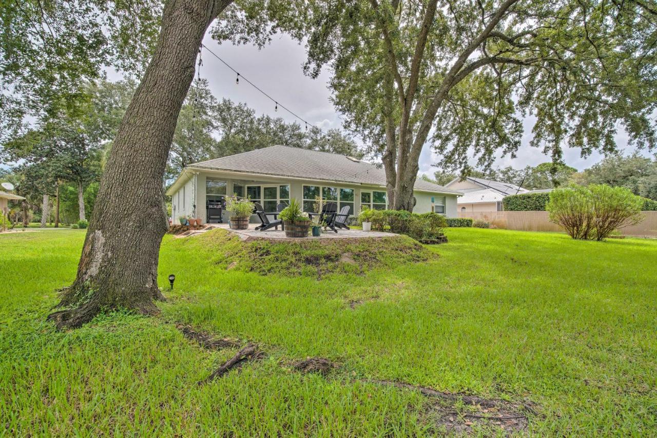 Crystal River Gem Near Three Sisters Springs! Esterno foto